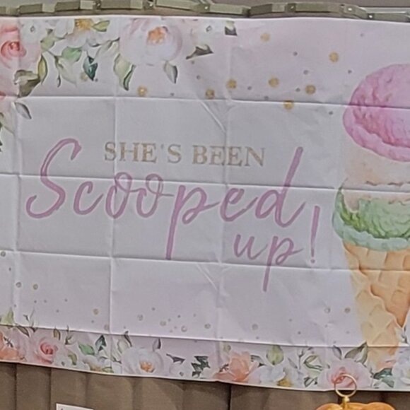 She's Been Scooped Up Backdrop Ice Cream Bridal Shower Pink Green Wedding - Picture 1 of 3